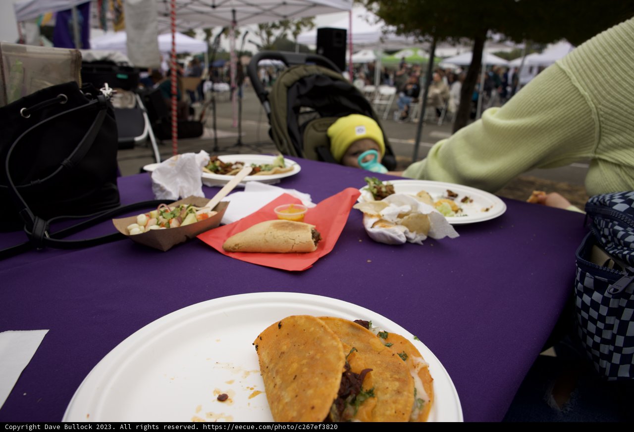 Vibrant Brunch Gathering 2023