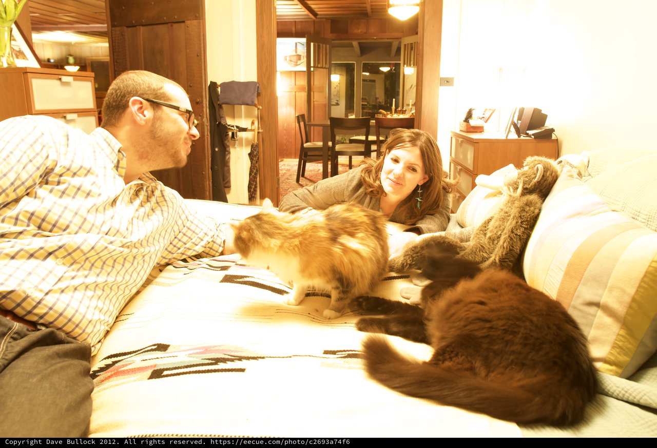 Couple Relaxing on Bed with Three Cats
