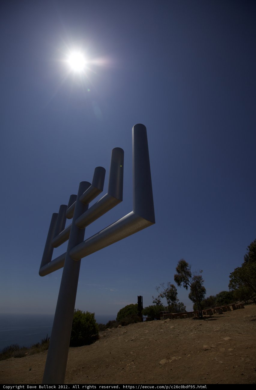 A Menorah in the Field