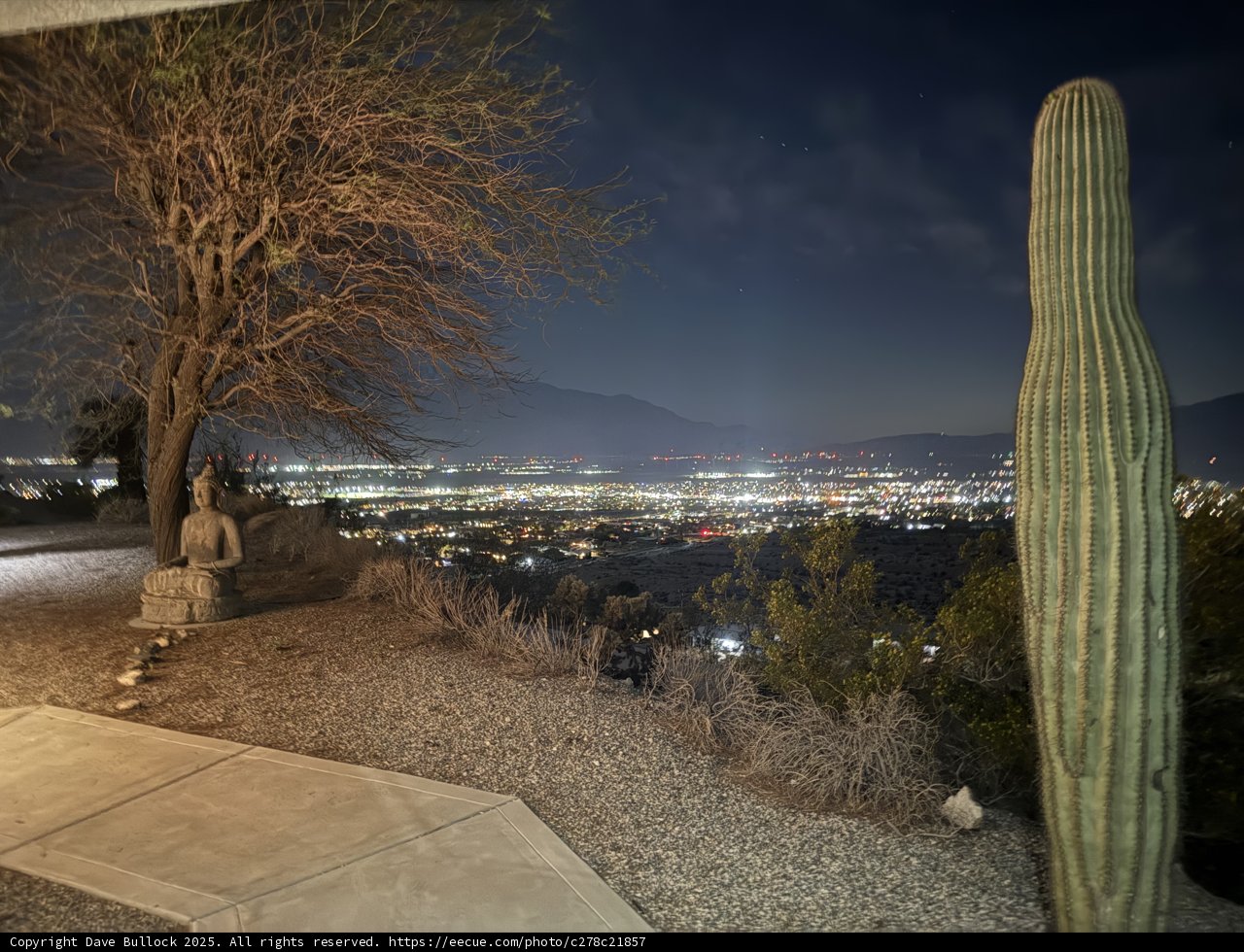 Serenity in the Desert Night
