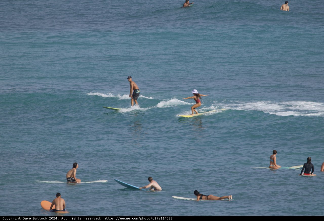 Catching Waves: A Day of Surfing in Hawaii