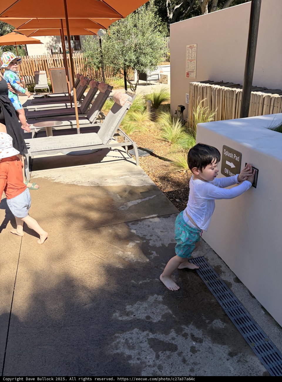 Sunshine and Splash Pads