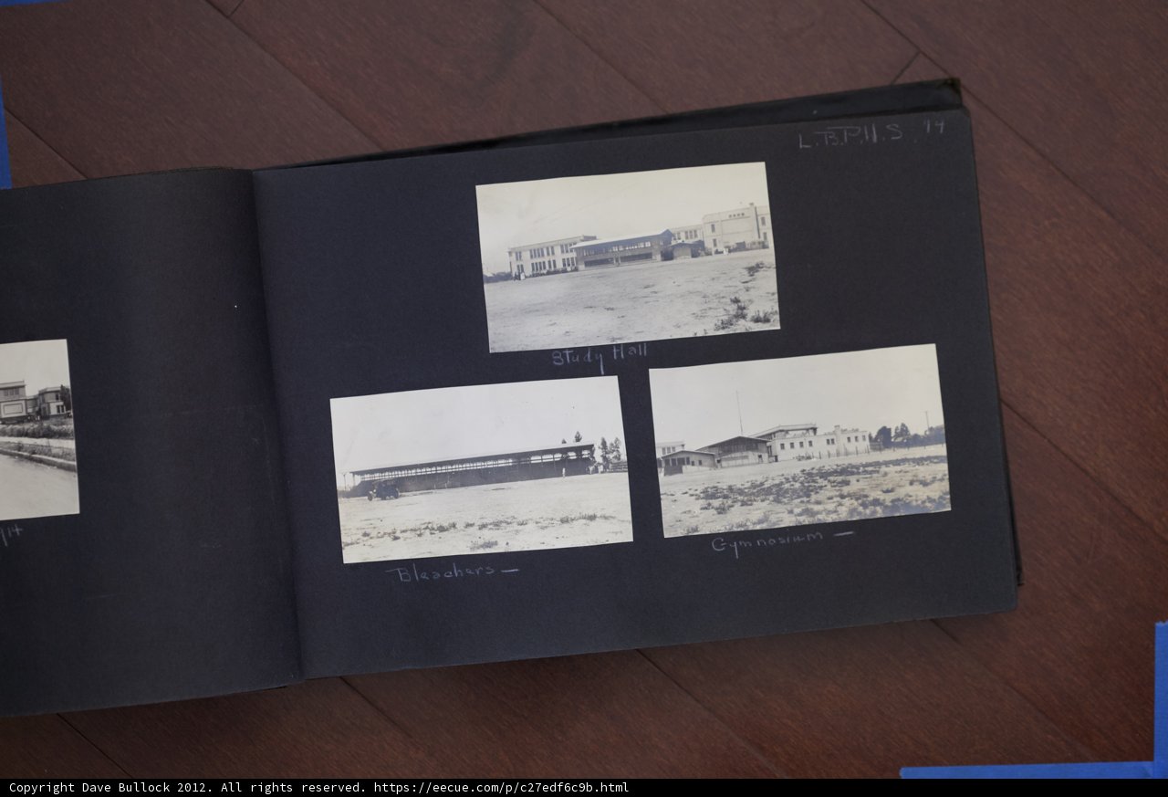 Bullock Curtis Family Buildings Book