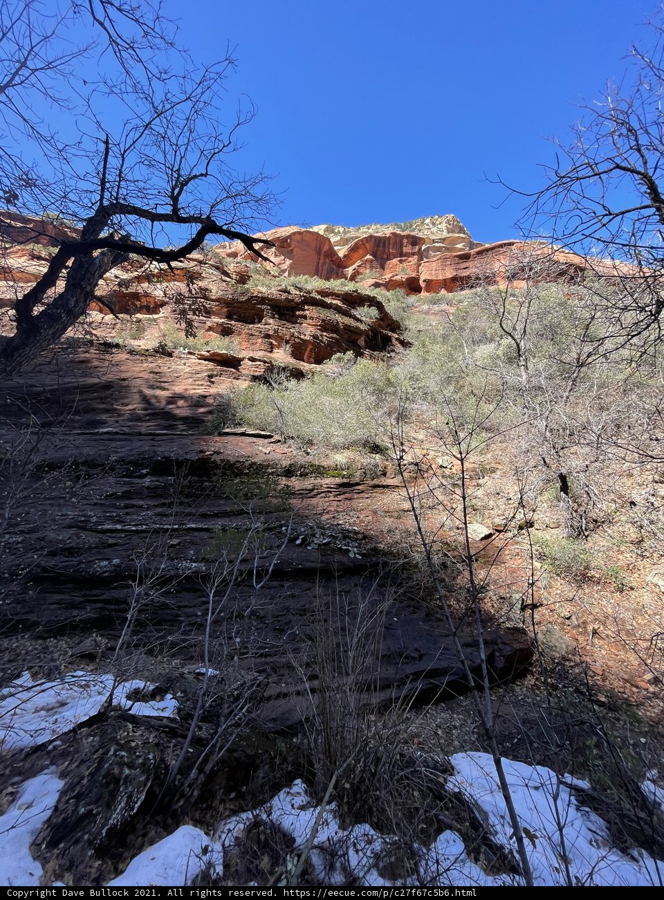 Majestic Red Rocks and Trees in Sedona's Canyon