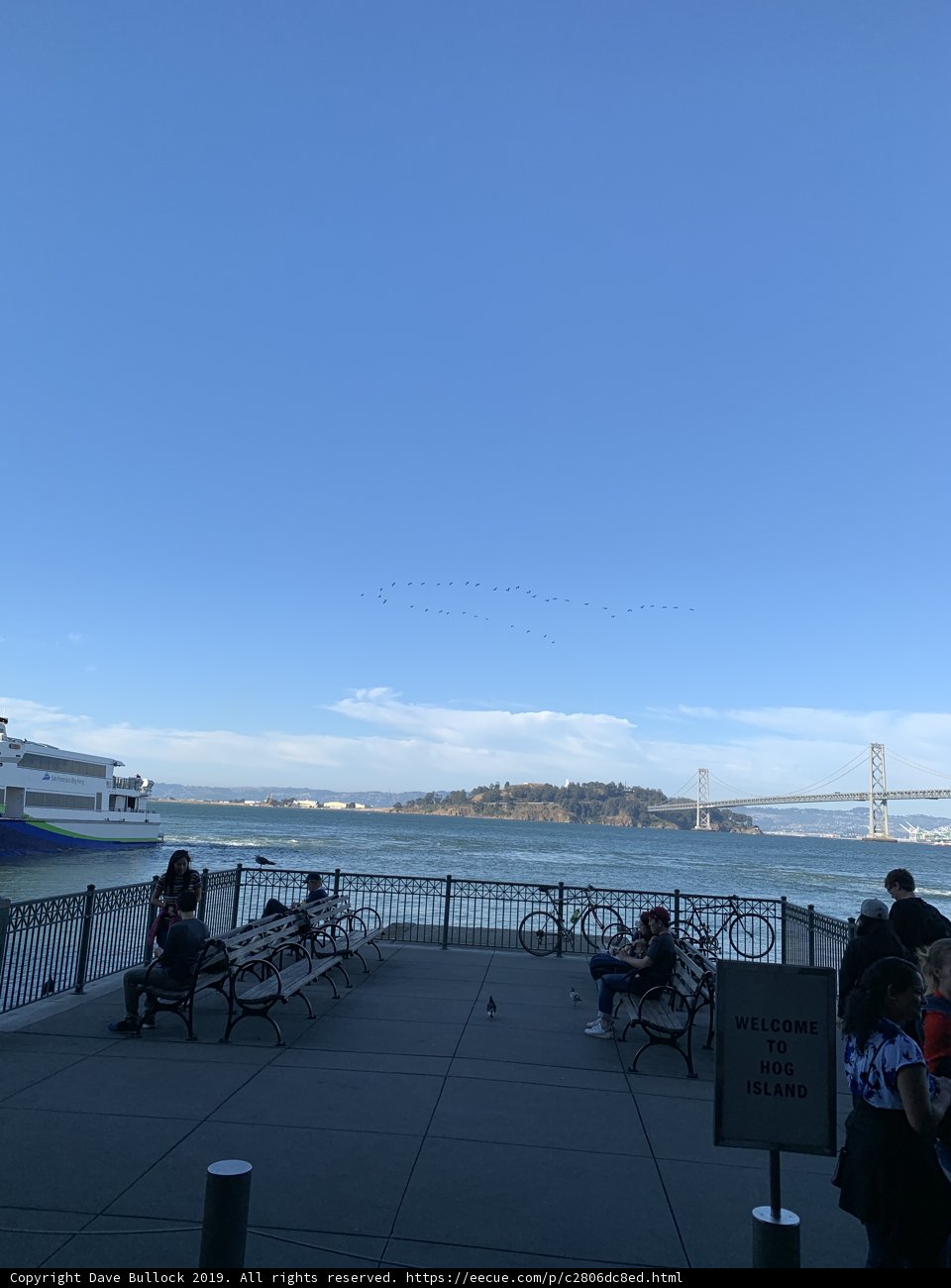 Relaxing by the Waterfront