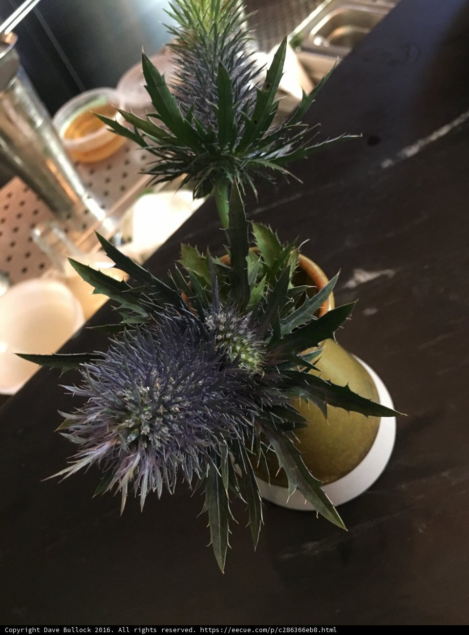 Floral Delight in Los Angeles