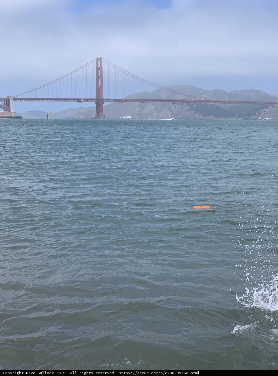 Frisbee Fun by the Bay