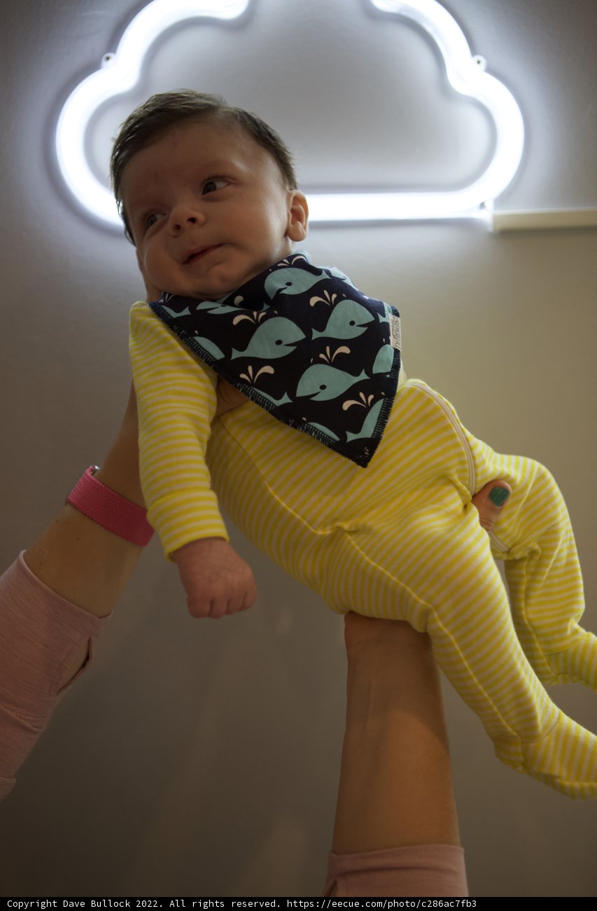 Wesley's Neon Charm: Age 2 Months