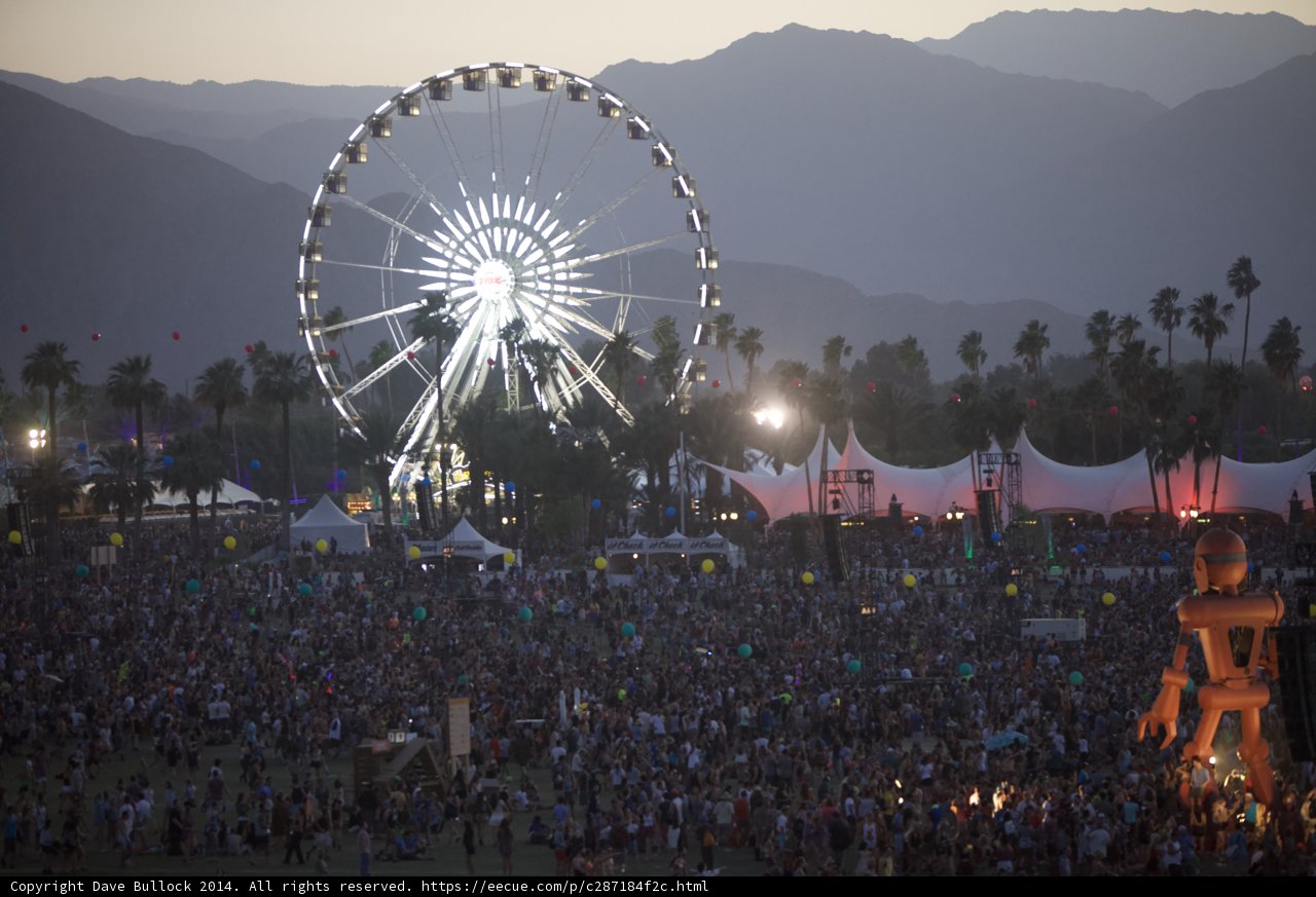 Festival Fun!
