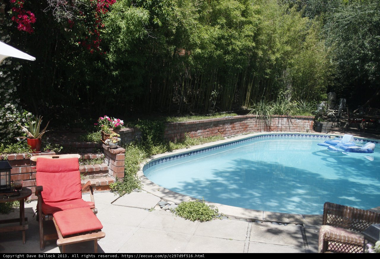 Relaxing by the Backyard Pool