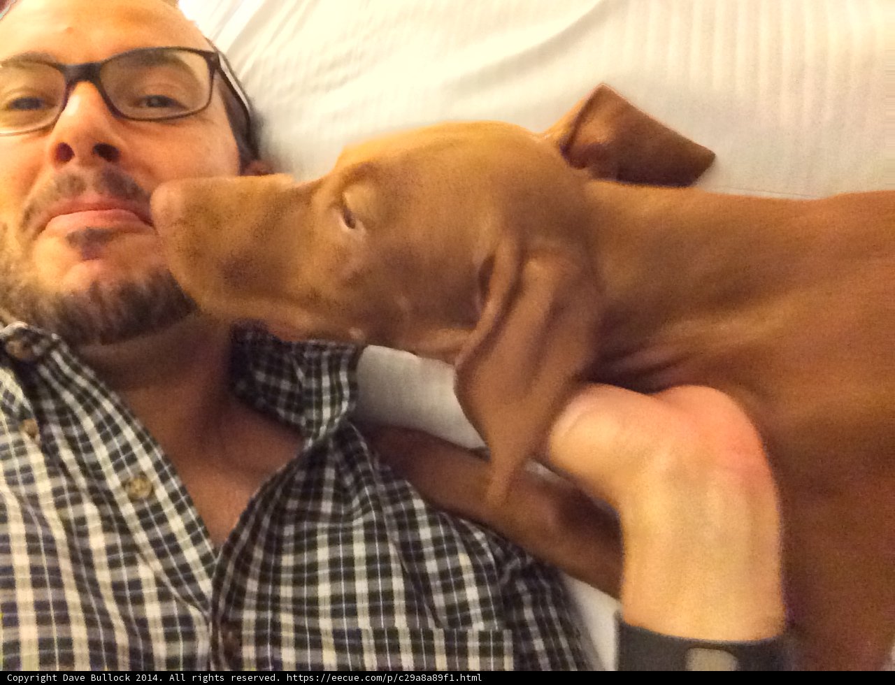 Man and his Canine Companion