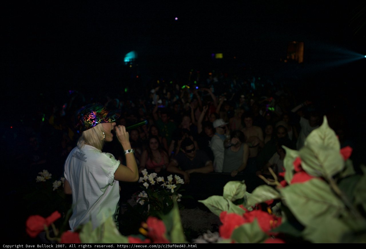Urban Flower King
