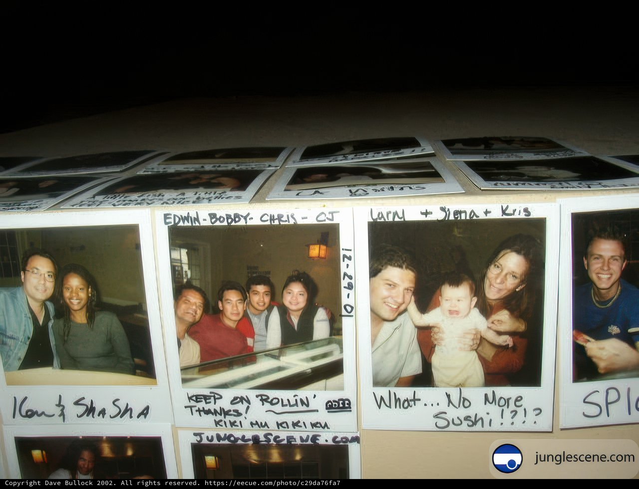 Memories in Polaroids