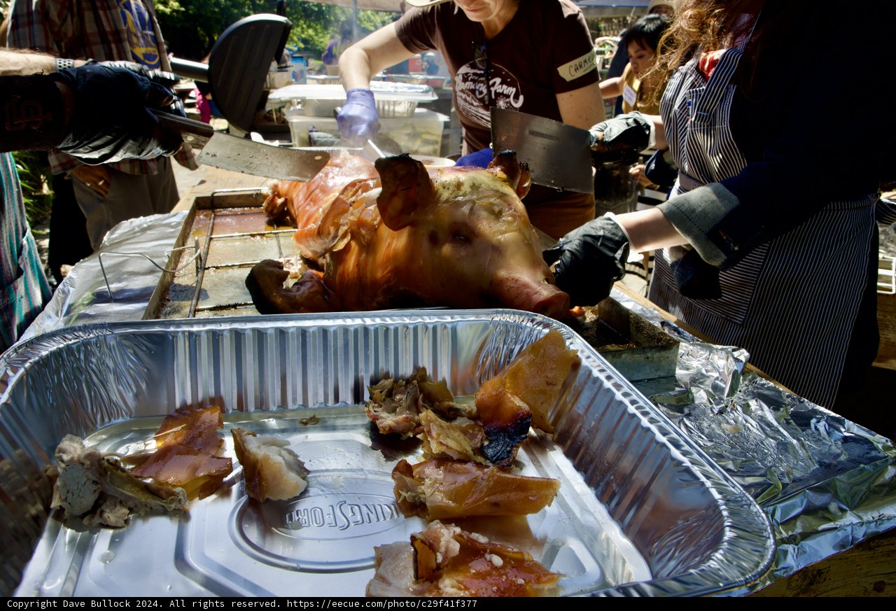 Feast of Fellowship: Earth Day Celebration at Alemany Farm