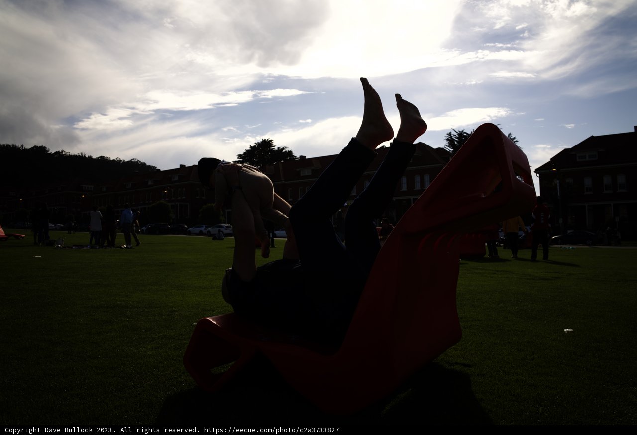 Cherished Moments in Presidio Park