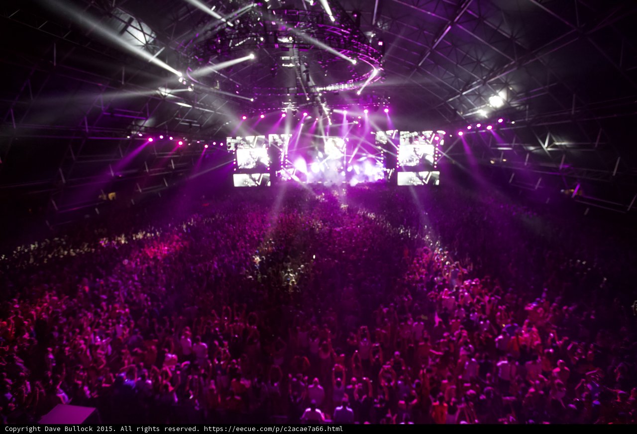 Purple Haze at Coachella