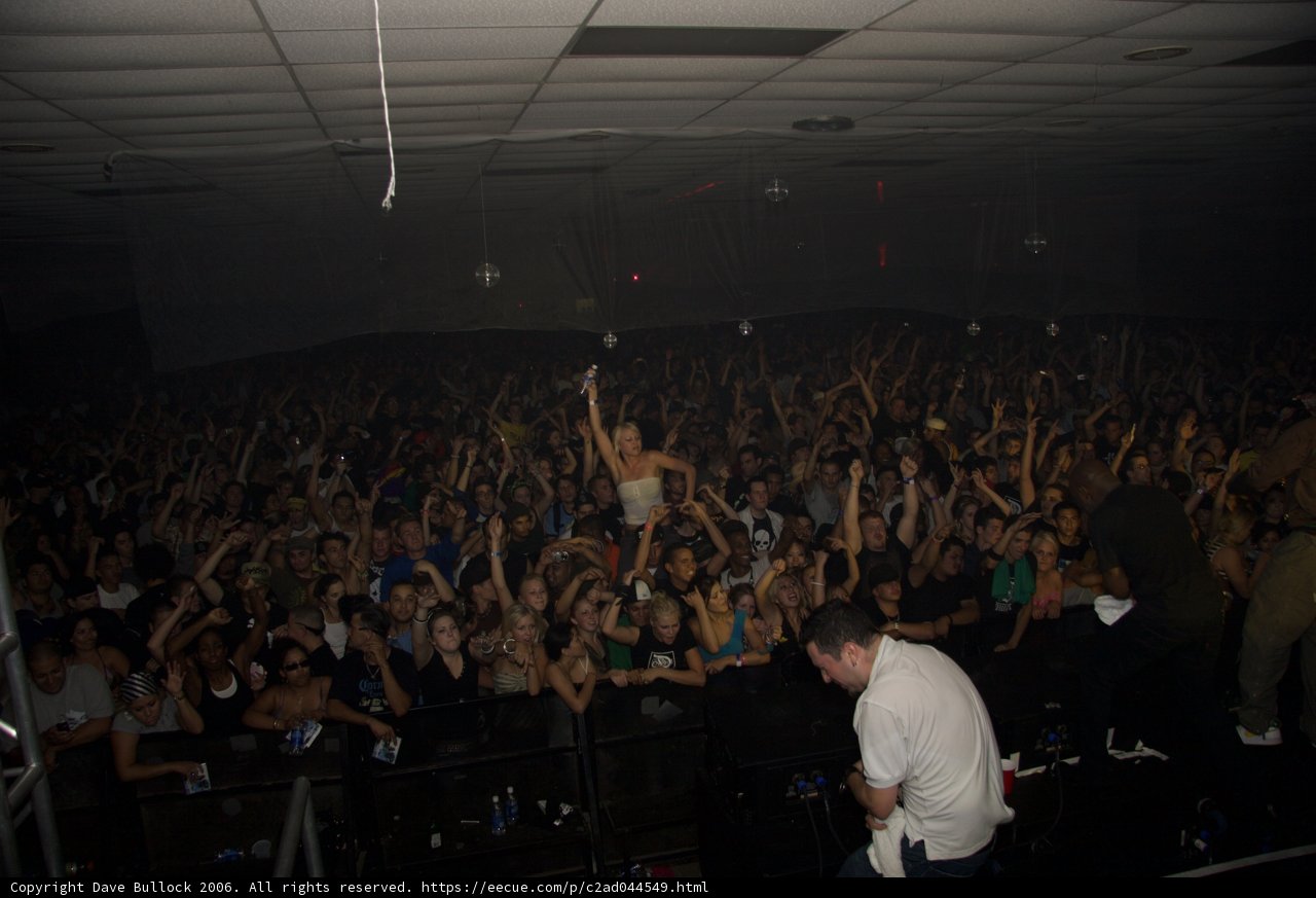 Raving with the Crowd