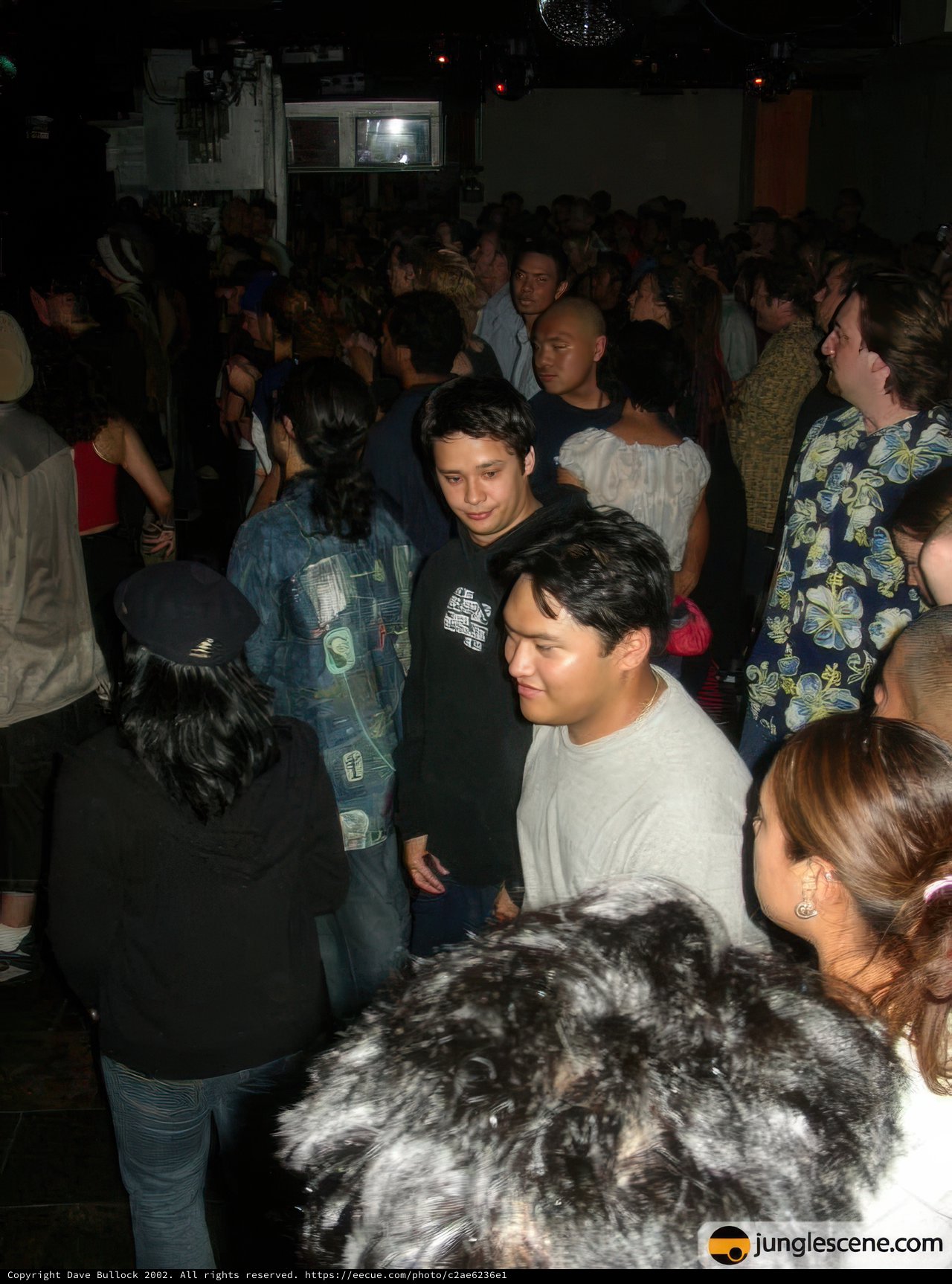 Nightclub Crowd