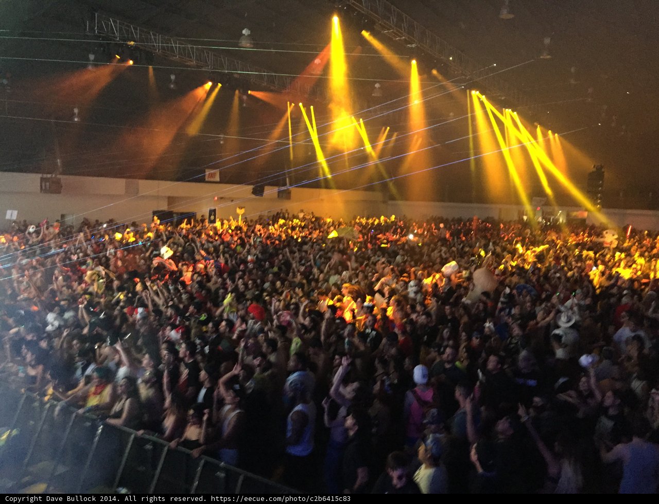 Bright Lights, Big Crowd: A Night at a Los Angeles Concert