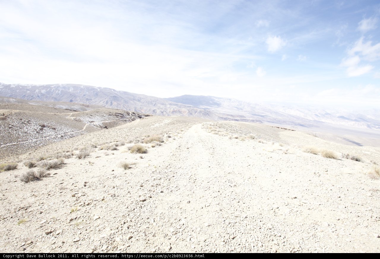 Riding into the Desert Wild