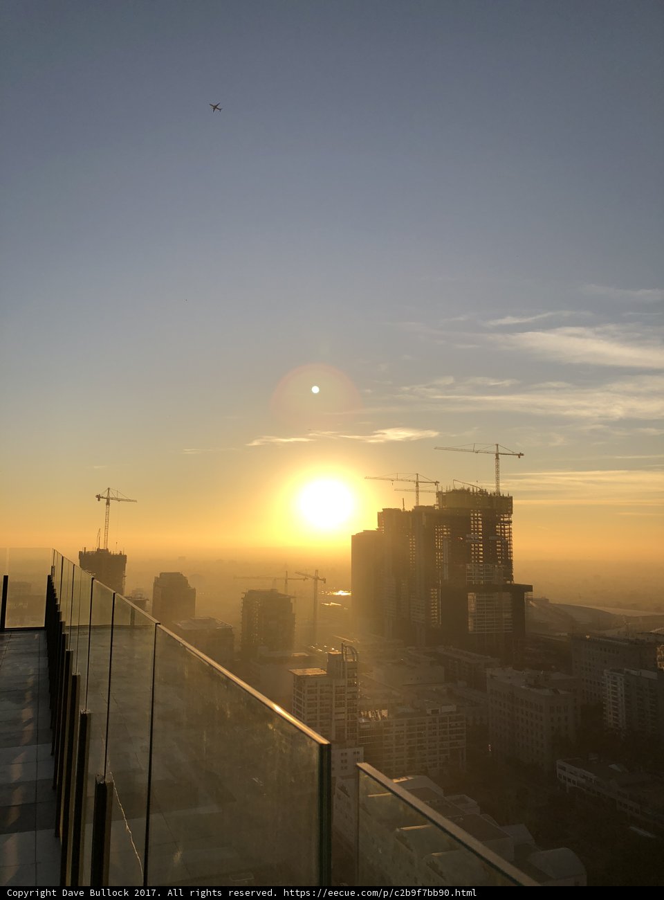 Rise and Shine in the Urban Jungle