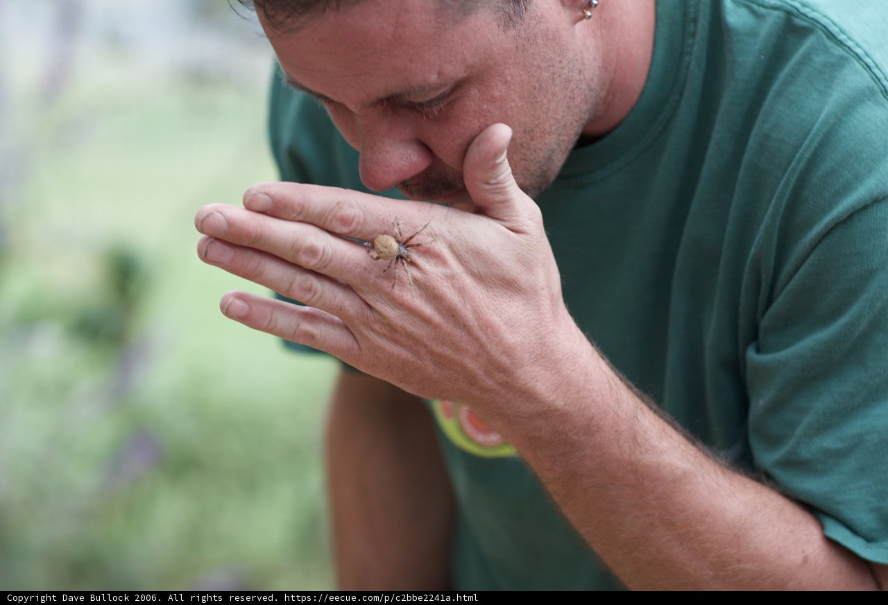 Bug in Hand