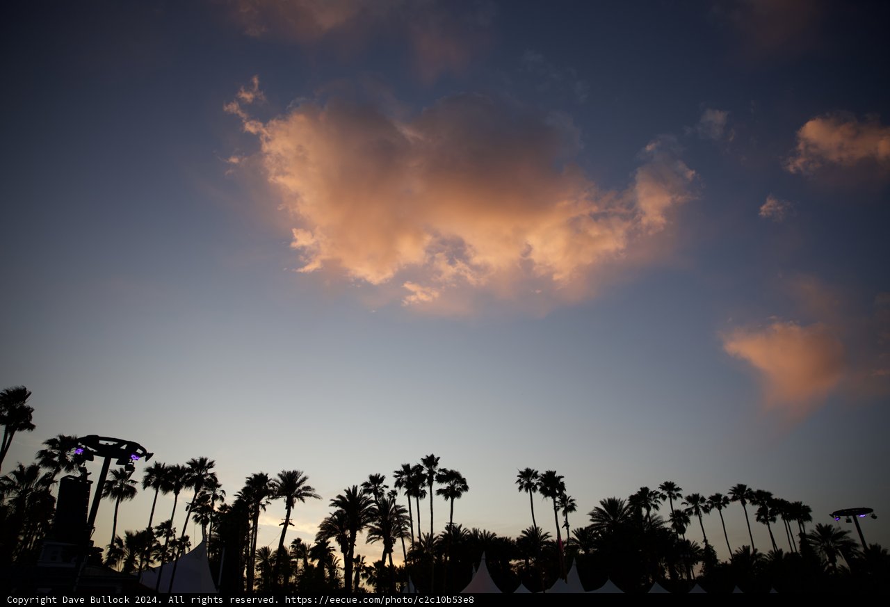 Sunset Silhouettes at Coachella 2024