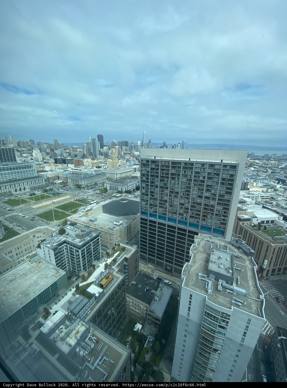 Overlooking the Urban Jungle