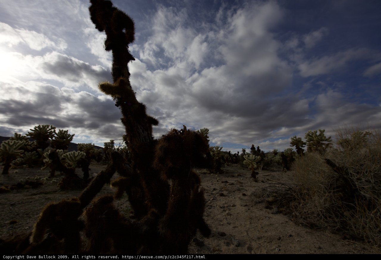 Majestic Desert Skyline