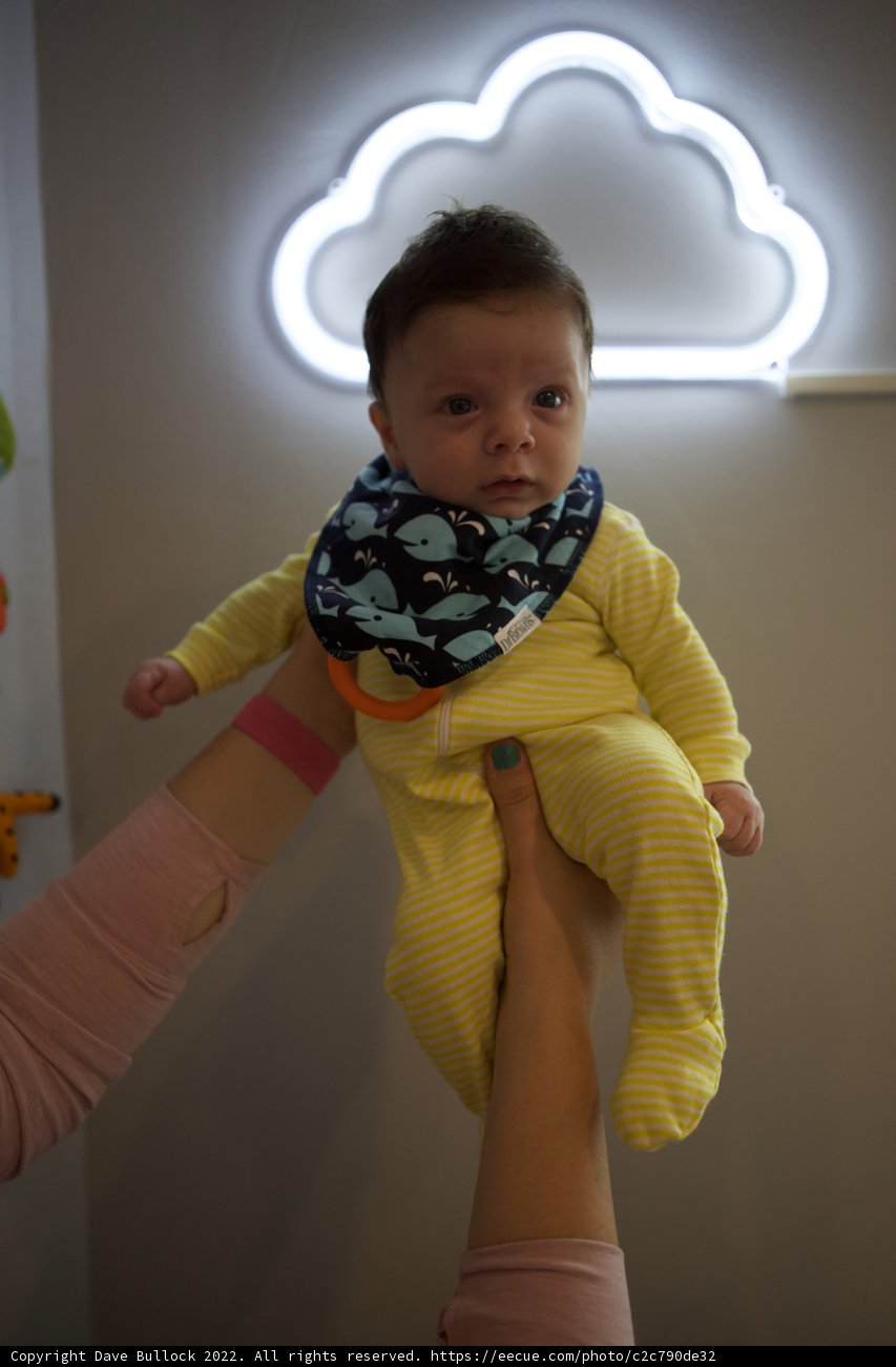Neon Nights - Baby Wesley's Mesmerizing Glow