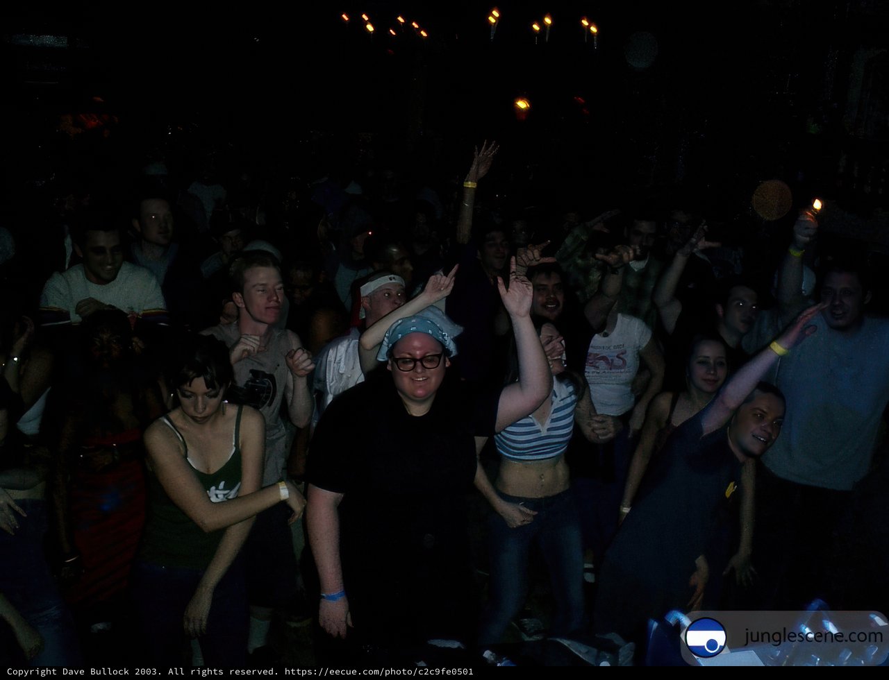 Partygoers groove to the beats of the DJ