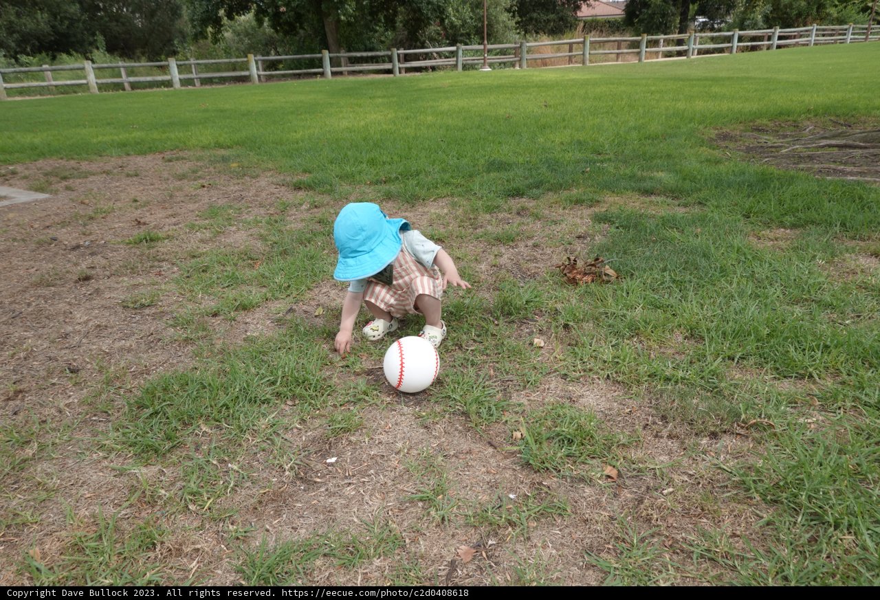Summer's Child: Playtime in the Field