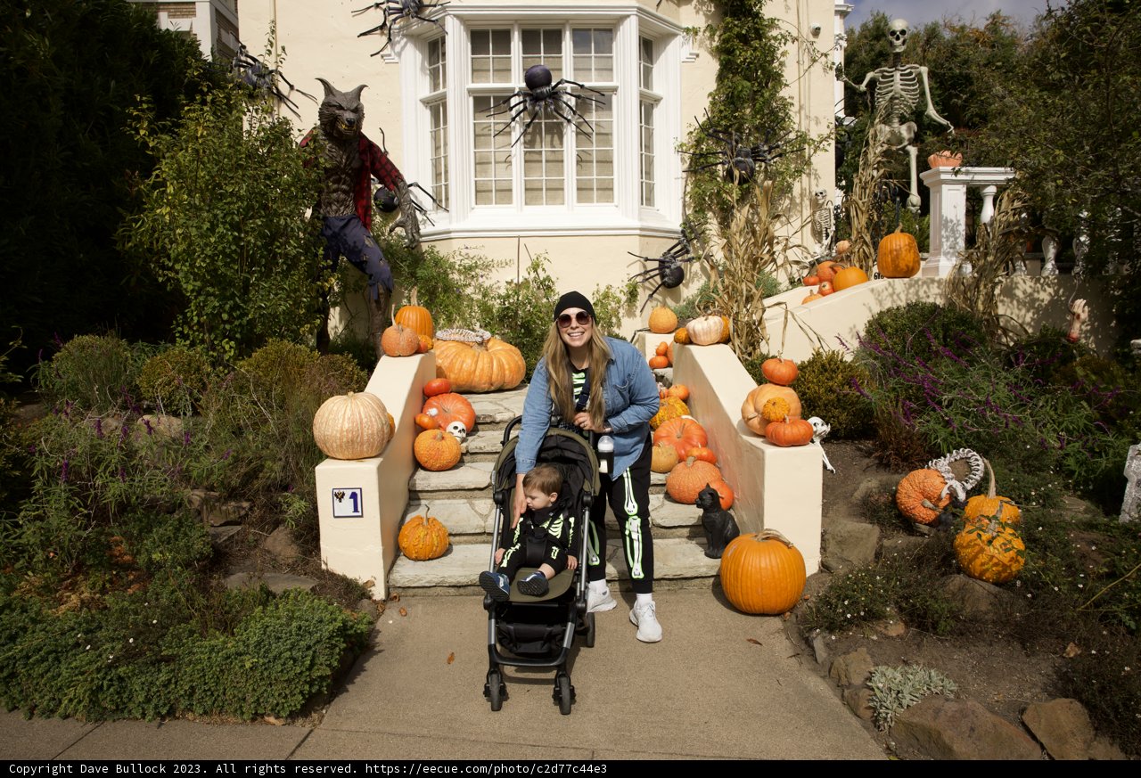 Autumn Charm in the Heart of San Francisco