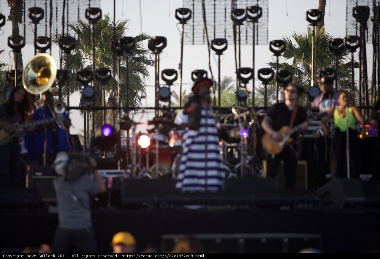 Groove Under the Palm Trees