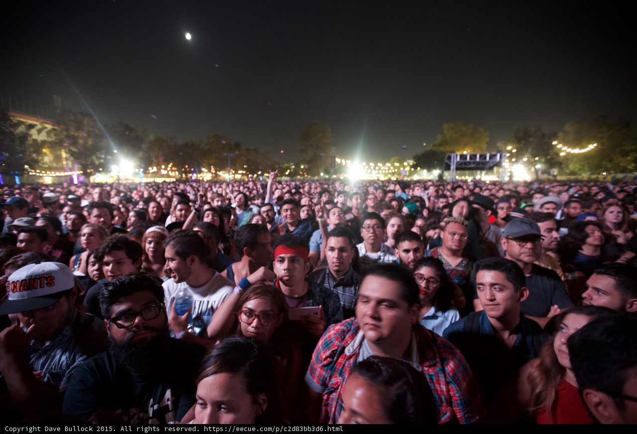 Dense Festival Crowd at Night