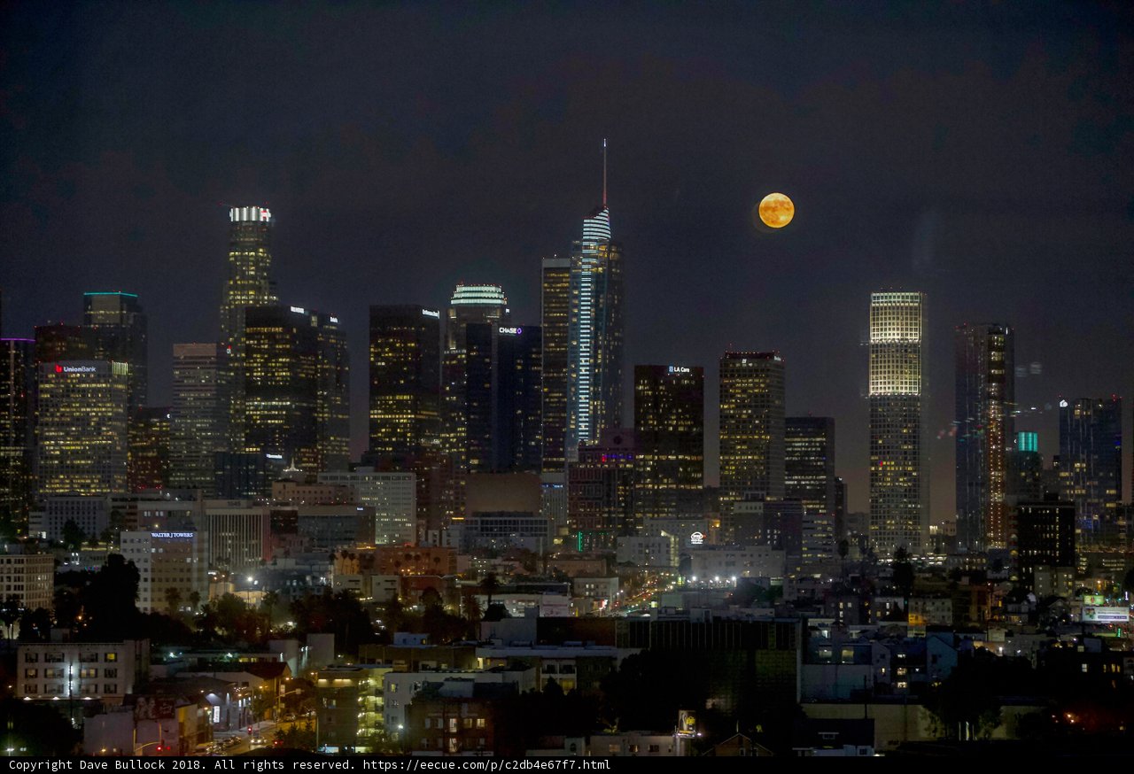Moonlit Cityscape