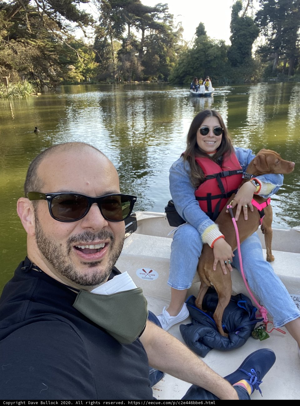 Lake Adventures with Our Furry Companion
