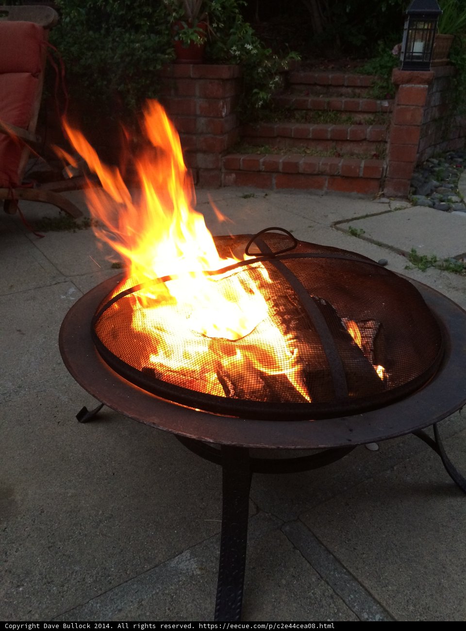 Bonfire Nights