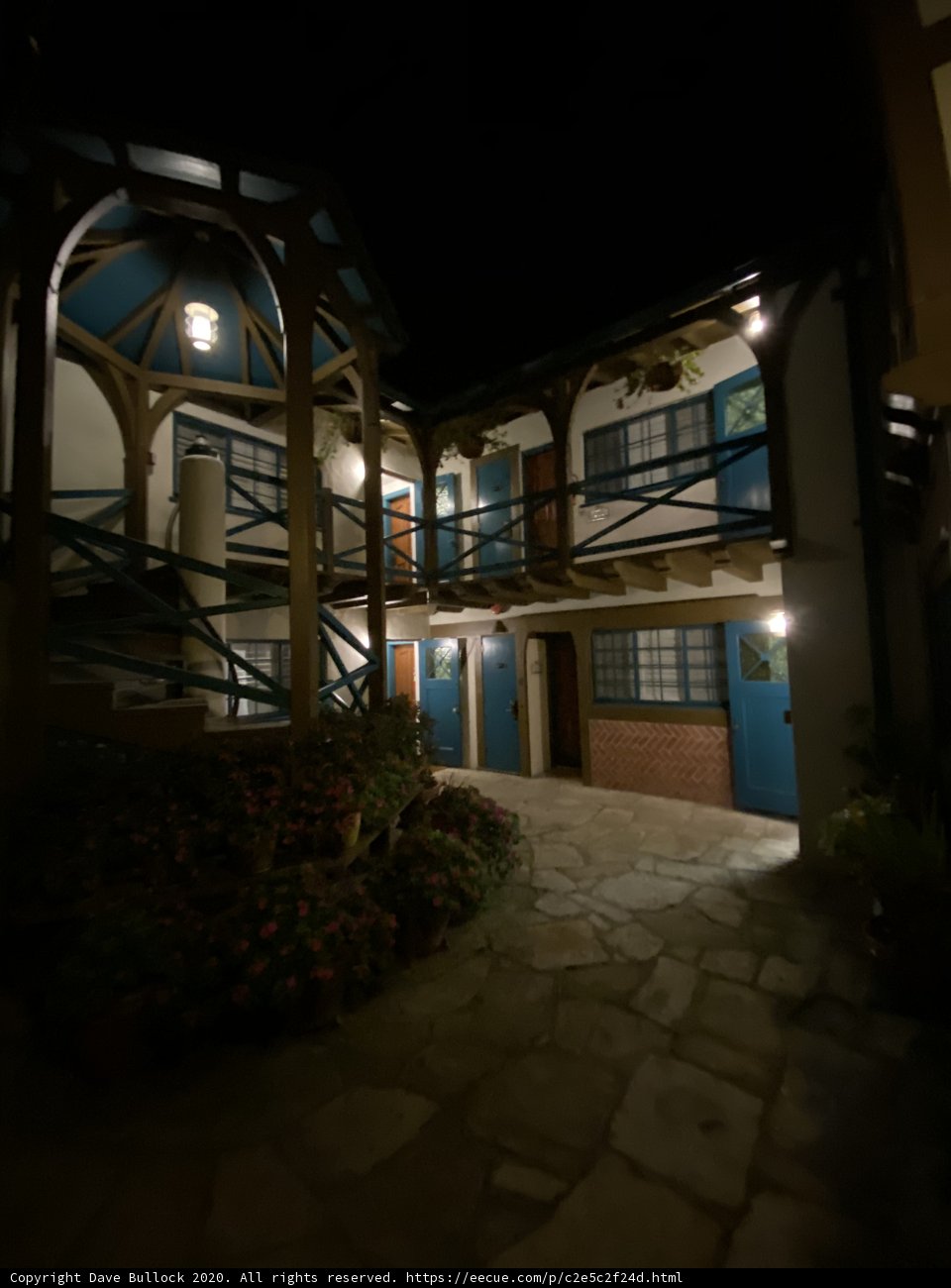 Nighttime Oasis
