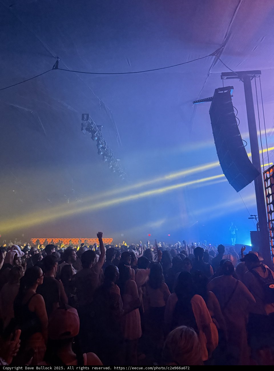 Electric Vibes Under the Stars
