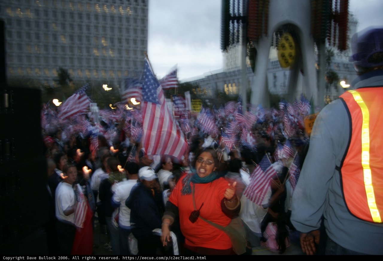 Patriotic Crowd