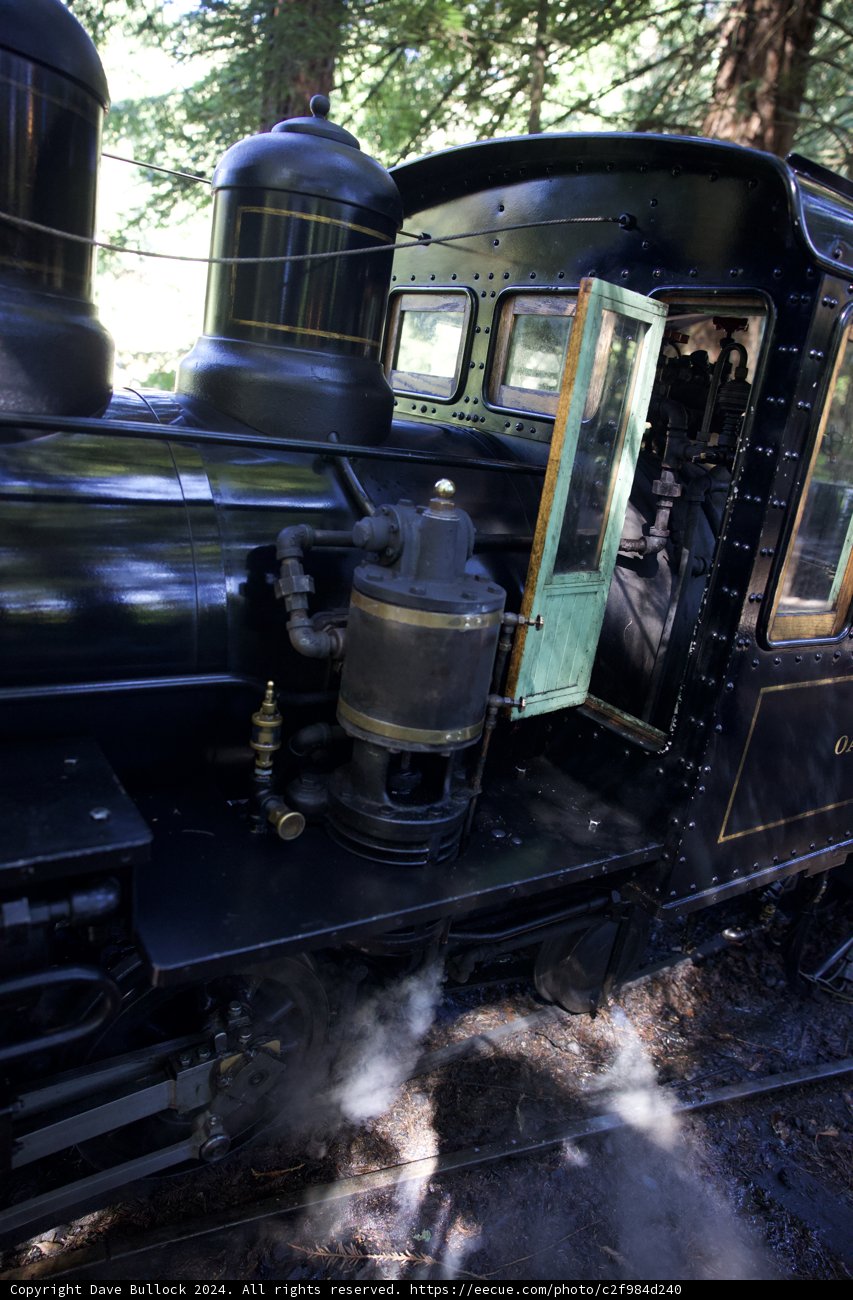 Steaming Through Tilden: A Close-Up of Heritage