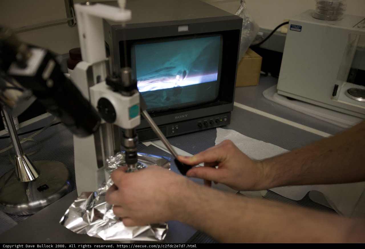Microscopic Analysis