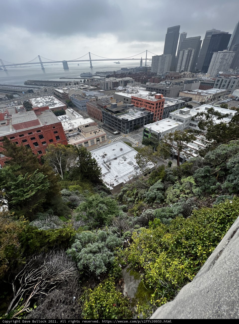 Metropolis by the Bay
