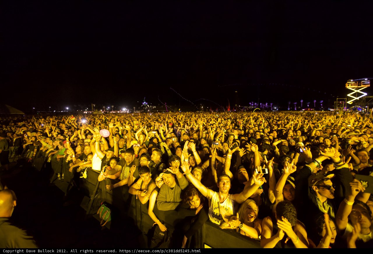 Concert Crowd under the Night Sky