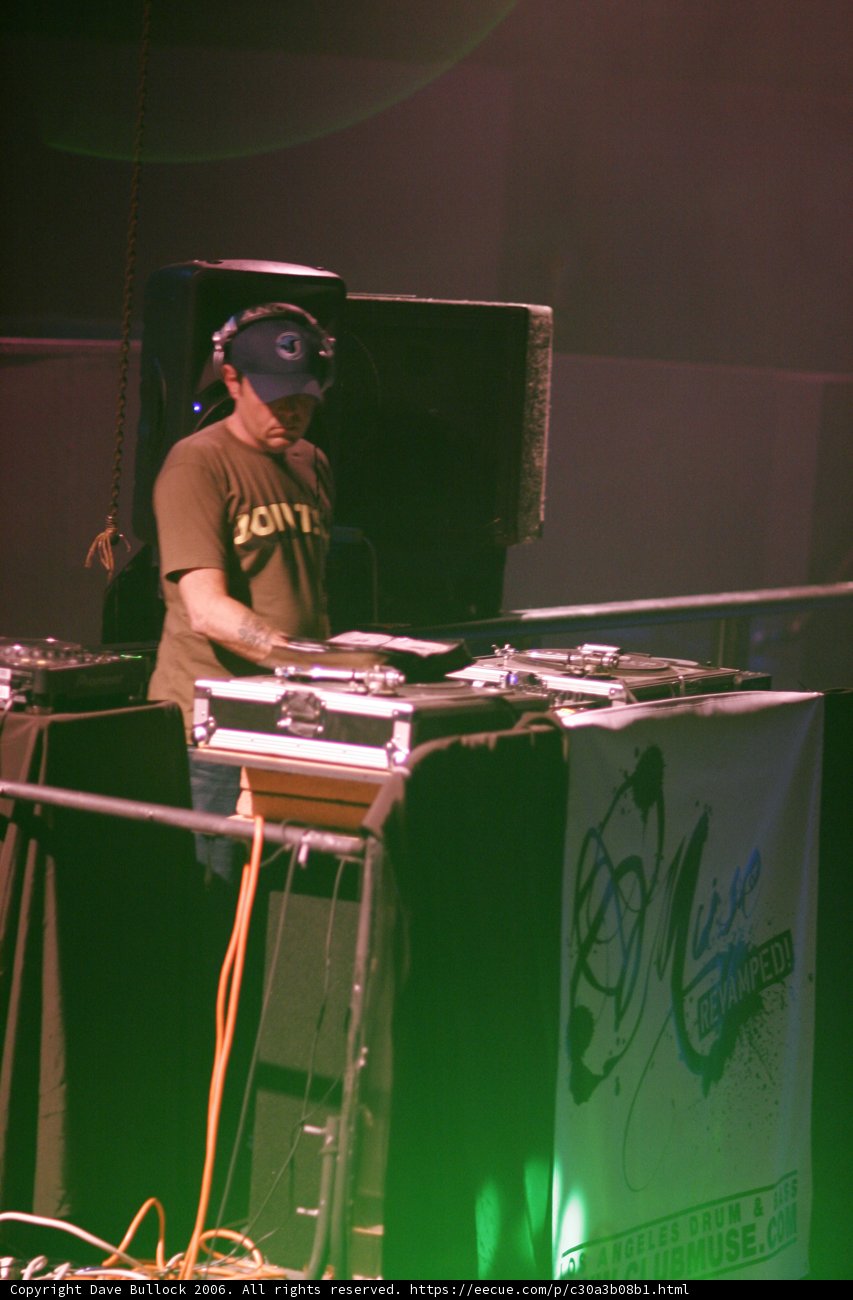 The Groovemaster of the Crowd