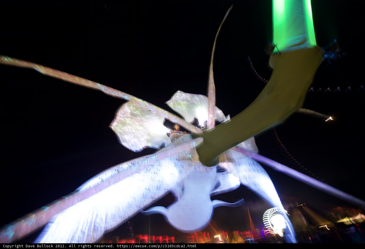 Night Creature