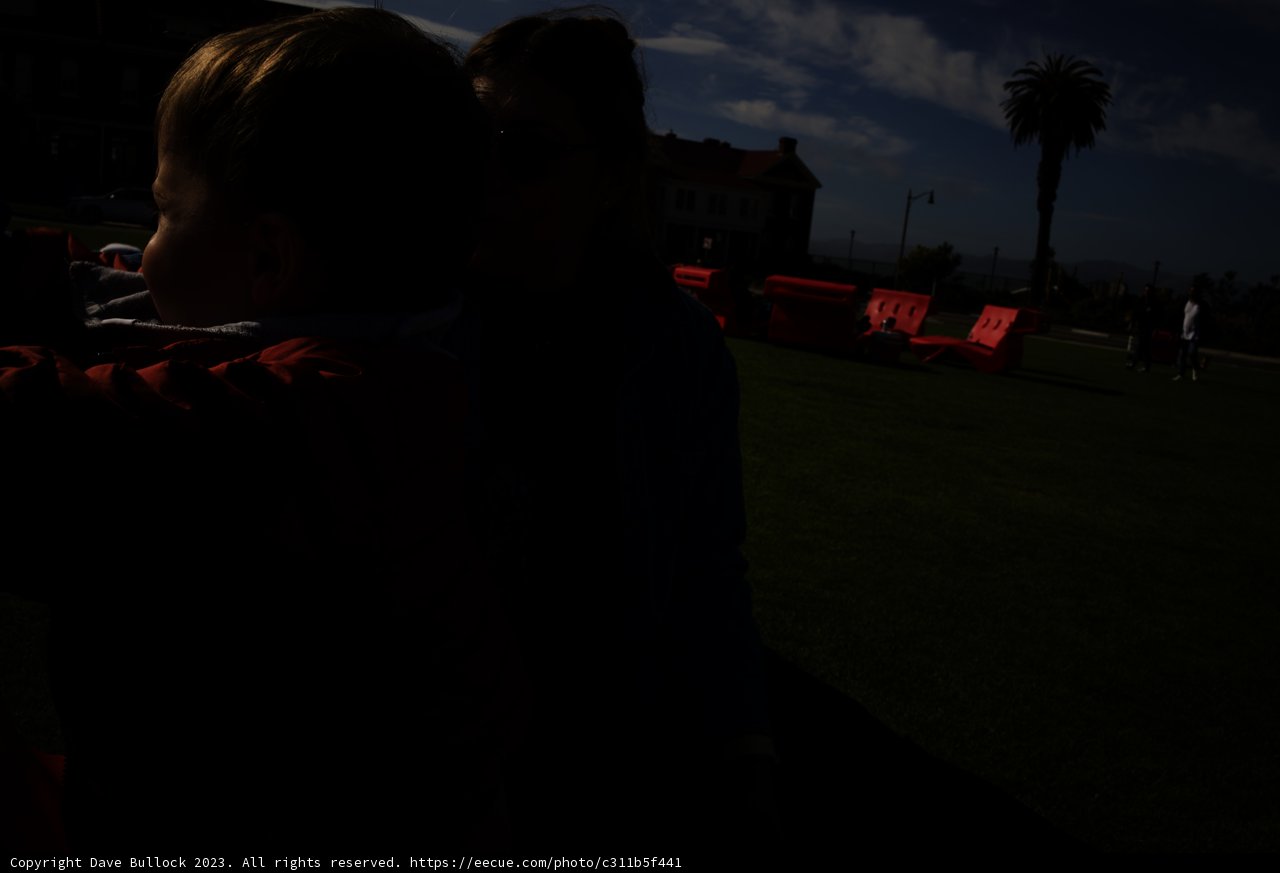 Cherished Moments in Presidio - 2023