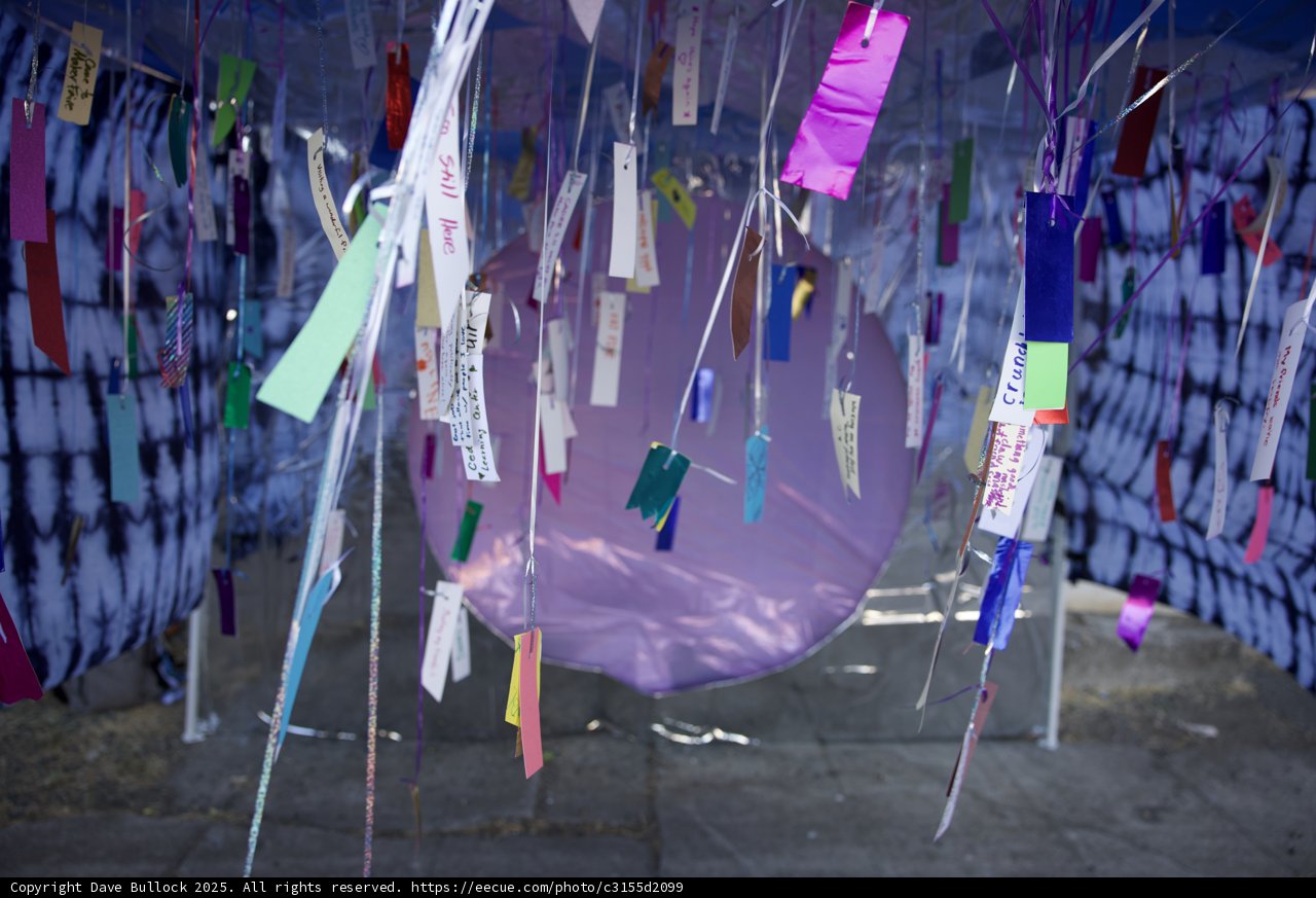 The Wishful Wind of Creativity