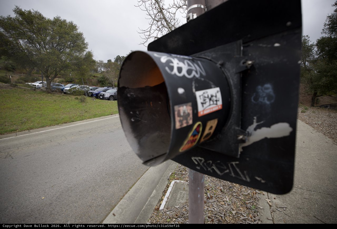 Graffiti-Tagged Black Mailbox in Suburban Setting